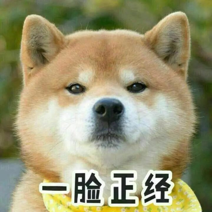 DƬ